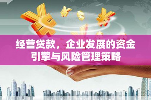 施甸经营贷款，企业发展的资金引擎与风险管理策略
