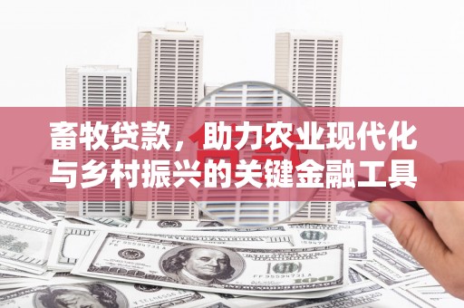 绥阳畜牧贷款，助力农业现代化与乡村振兴的关键金融工具