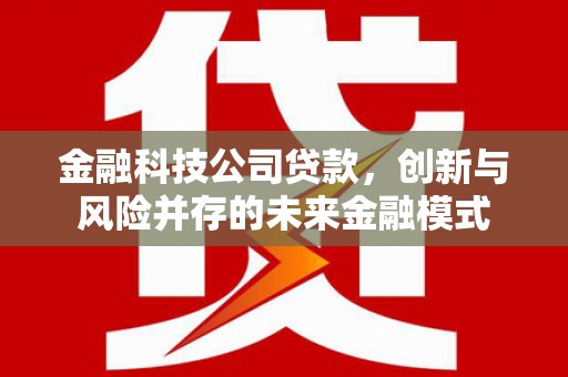 清城金融科技公司贷款，创新与风险并存的未来金融模式