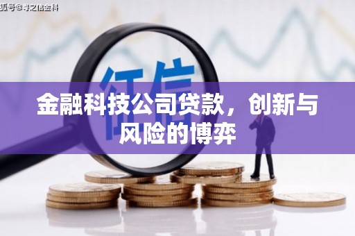凤凰金融科技公司贷款，创新与风险的博弈