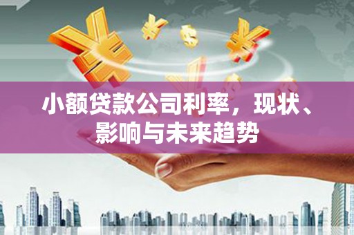 南丹小额贷款公司利率，现状、影响与未来趋势