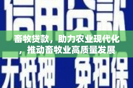 武汉畜牧贷款，助力农业现代化，推动畜牧业高质量发展
