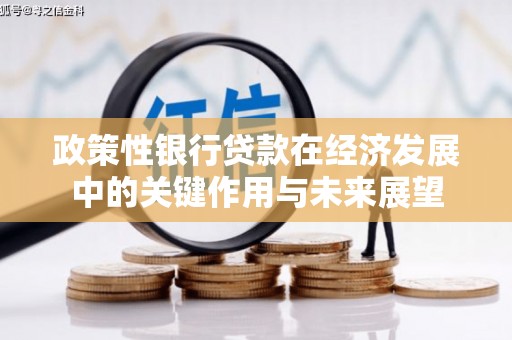 田林政策性银行贷款在经济发展中的关键作用与未来展望