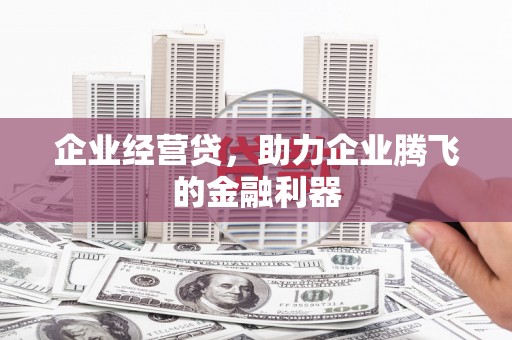 天宁企业经营贷，助力企业腾飞的金融利器