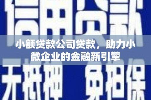 竹南小额贷款公司贷款，助力小微企业的金融新引擎
