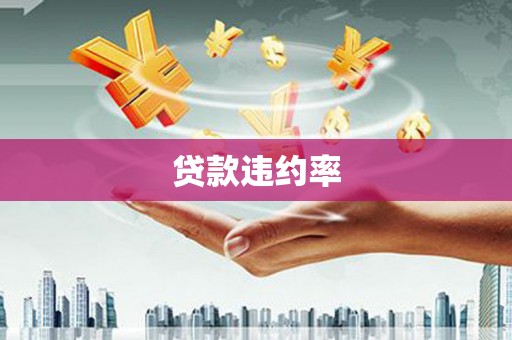 泾河贷款违约率