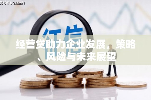 丰县经营贷助力企业发展，策略、风险与未来展望