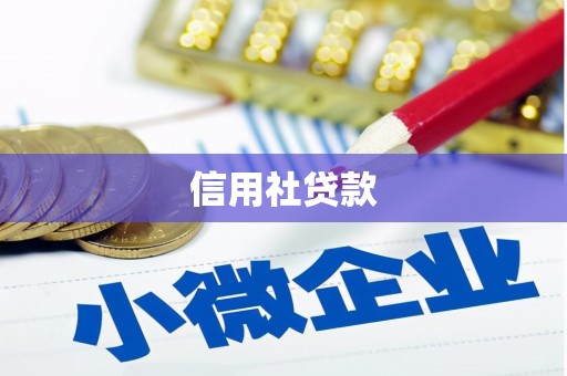 洛扎信用社贷款