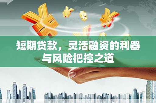 岱山短期贷款，灵活融资的利器与风险把控之道