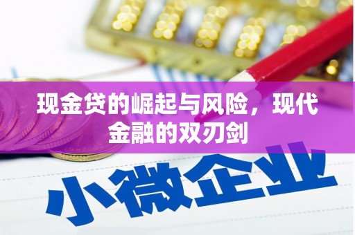 南湖现金贷的崛起与风险，现代金融的双刃剑