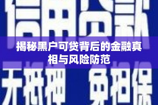 罗山揭秘黑户可贷背后的金融真相与风险防范