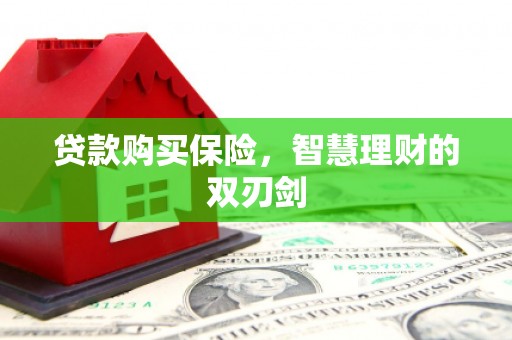 临猗贷款购买保险，智慧理财的双刃剑