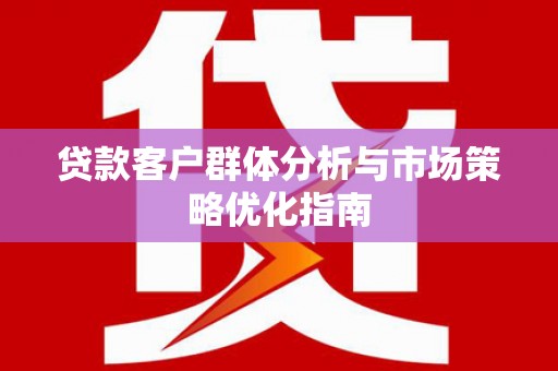 民丰贷款客户群体分析与市场策略优化指南