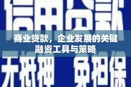 志丹商业贷款，企业发展的关键融资工具与策略