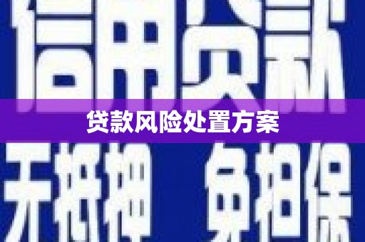 修武贷款风险处置方案
