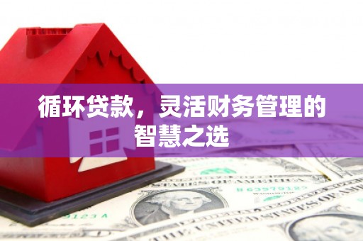 罗定循环贷款，灵活财务管理的智慧之选