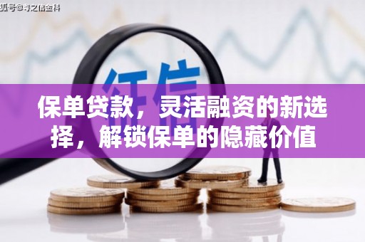 德州保单贷款，灵活融资的新选择，解锁保单的隐藏价值