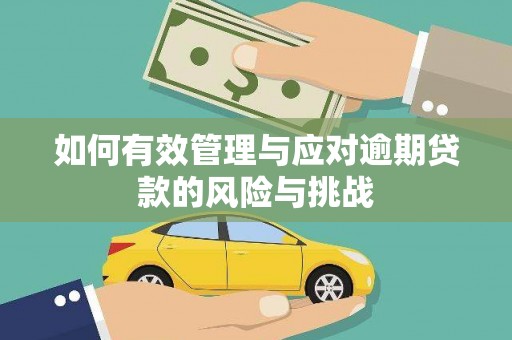 卓溪如何有效管理与应对逾期贷款的风险与挑战