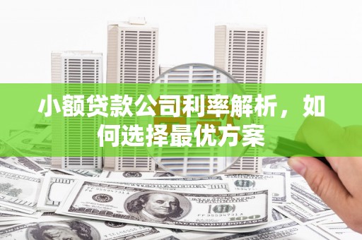 白银小额贷款公司利率解析，如何选择最优方案