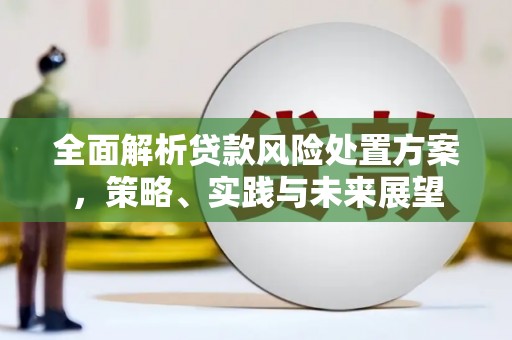 黔东南全面解析贷款风险处置方案，策略、实践与未来展望