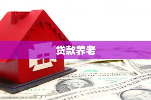 水林贷款养老