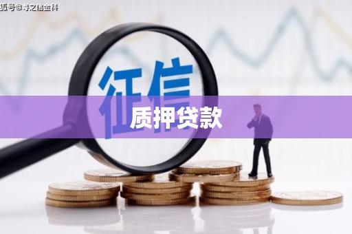 资溪质押贷款