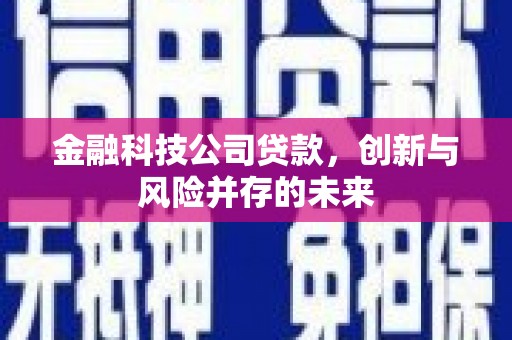 荣县金融科技公司贷款，创新与风险并存的未来