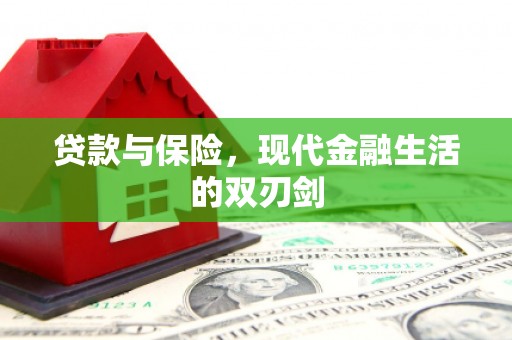 竹南贷款与保险，现代金融生活的双刃剑