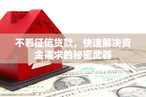 永川不看征信贷款，快速解决资金需求的秘密武器