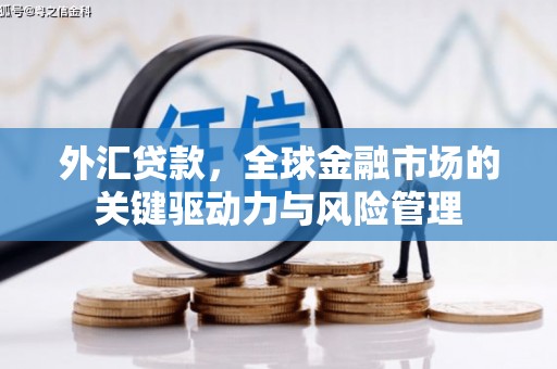 大余外汇贷款，全球金融市场的关键驱动力与风险管理