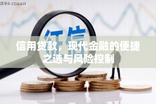 浉河信用贷款，现代金融的便捷之选与风险控制