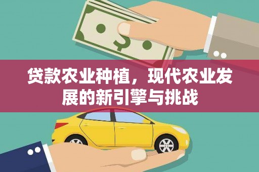 独山子贷款农业种植，现代农业发展的新引擎与挑战