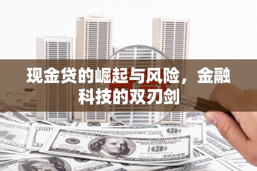 新晃现金贷的崛起与风险，金融科技的双刃剑