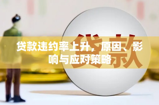 白云贷款违约率上升，原因、影响与应对策略