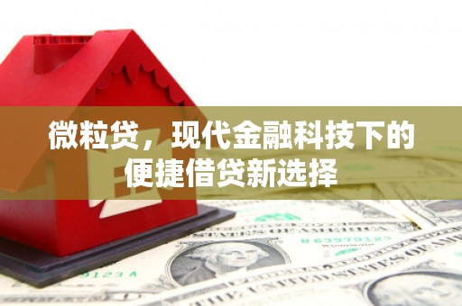 东西湖微粒贷，现代金融科技下的便捷借贷新选择