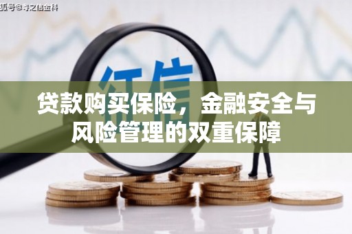 龙文贷款购买保险，金融安全与风险管理的双重保障