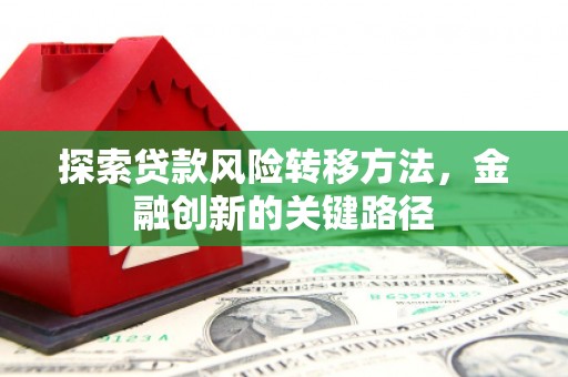维西探索贷款风险转移方法，金融创新的关键路径