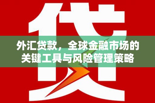西市外汇贷款，全球金融市场的关键工具与风险管理策略