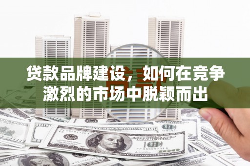 特克斯贷款品牌建设，如何在竞争激烈的市场中脱颖而出
