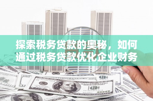 金华探索税务贷款的奥秘，如何通过税务贷款优化企业财务