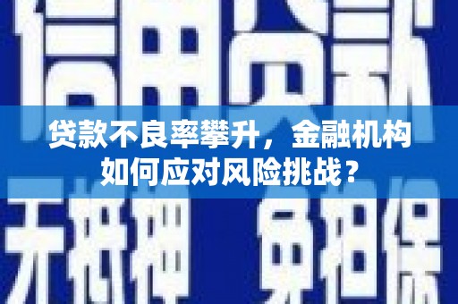 宿松贷款不良率攀升，金融机构如何应对风险挑战？