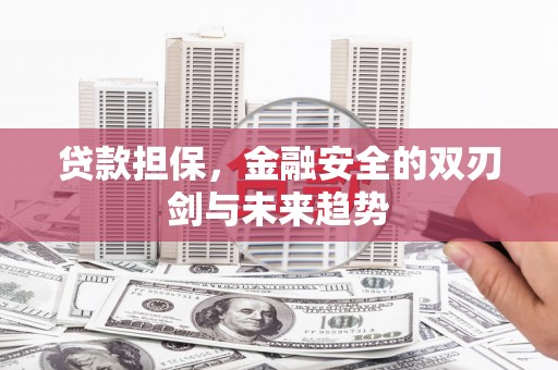 囊谦贷款担保，金融安全的双刃剑与未来趋势