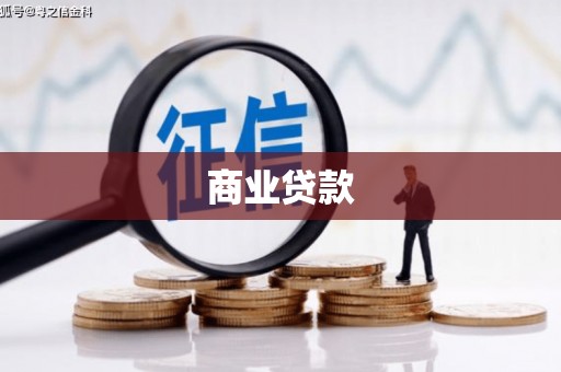 临泉商业贷款