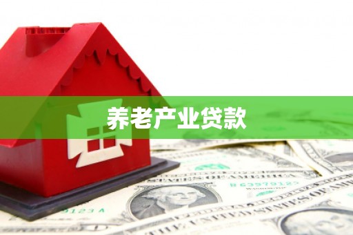 芒市养老产业贷款