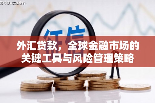 惠安外汇贷款，全球金融市场的关键工具与风险管理策略
