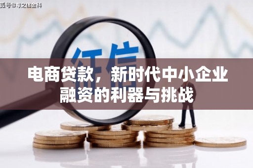 满州电商贷款，新时代中小企业融资的利器与挑战