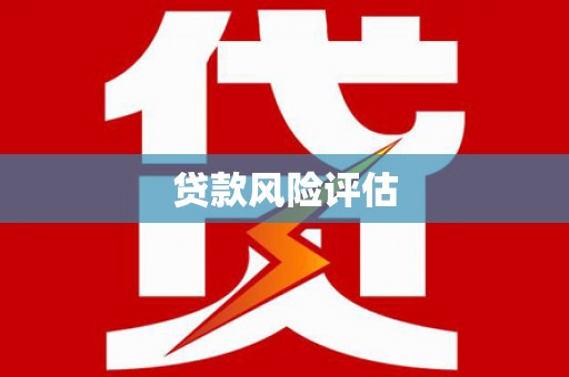 八里贷款风险评估