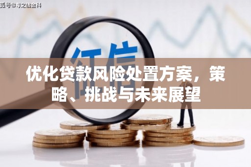 利通优化贷款风险处置方案，策略、挑战与未来展望