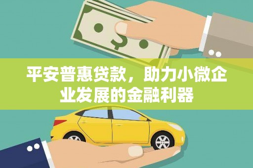 始兴平安普惠贷款，助力小微企业发展的金融利器