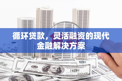 天元循环贷款，灵活融资的现代金融解决方案